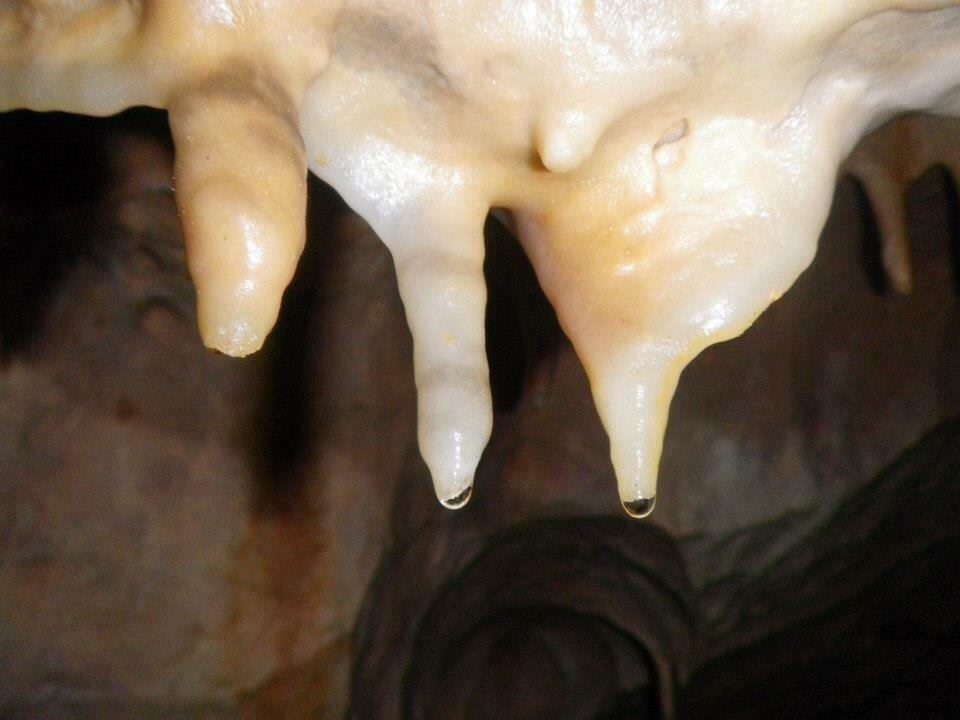 Albergue La Canadilla Uña 外观 照片